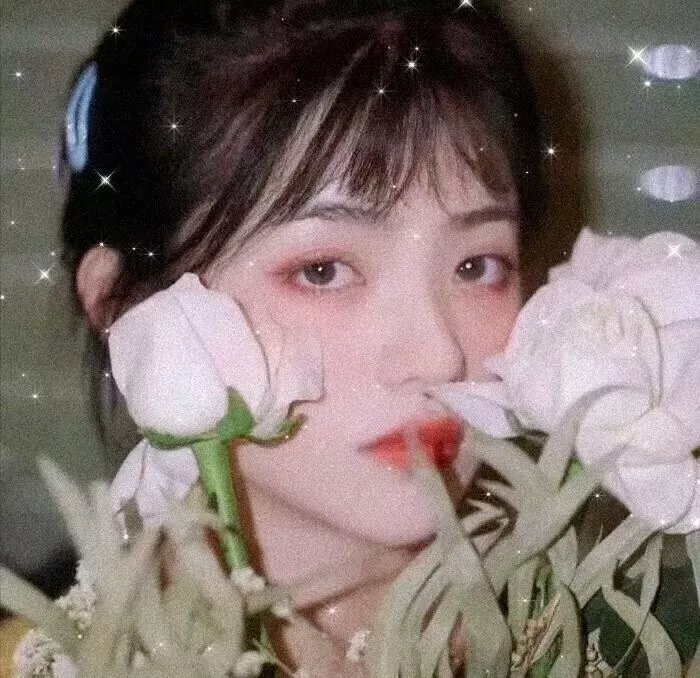 女高怪谈5:结伴自杀