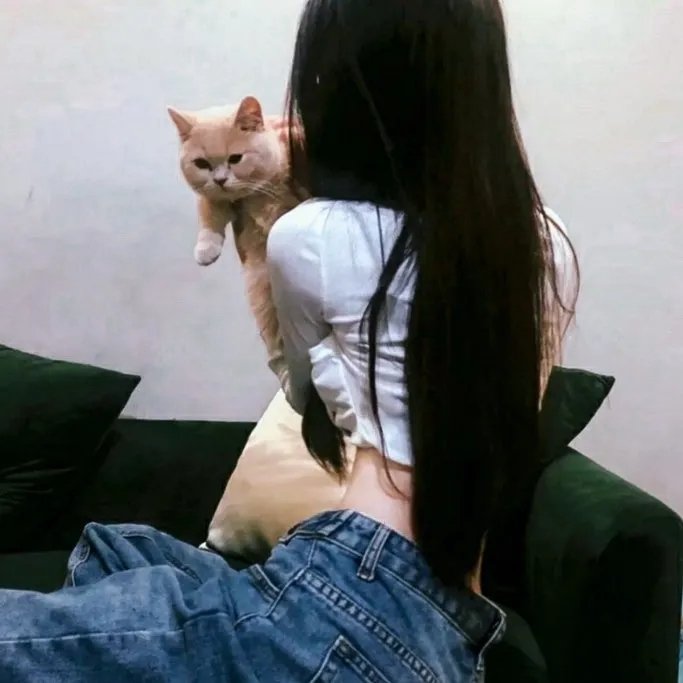 功夫熊猫:盖世传奇第三季